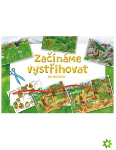 Obrázek