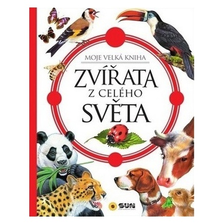 Obrázek