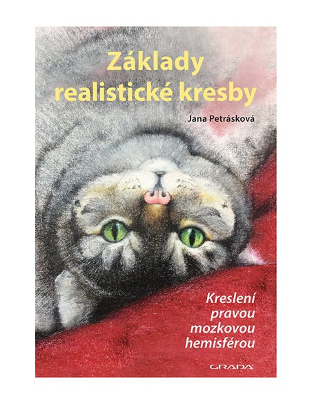 Obrázek