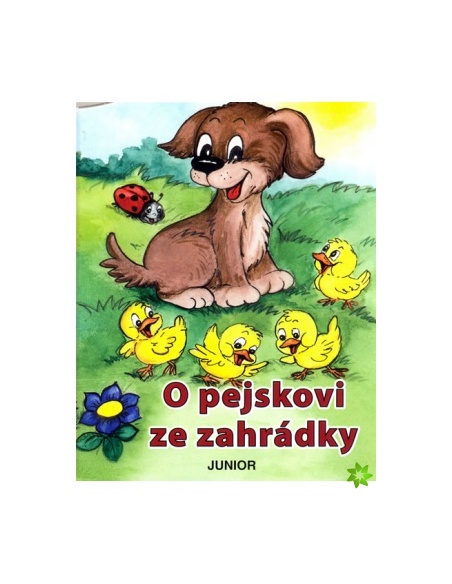 Obrázek