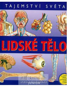 Obrázek