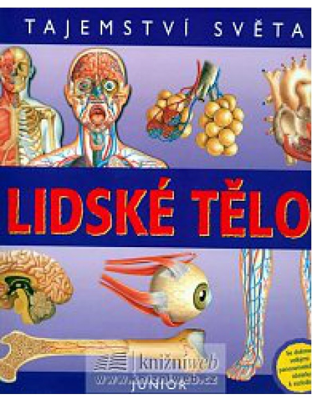 Obrázek