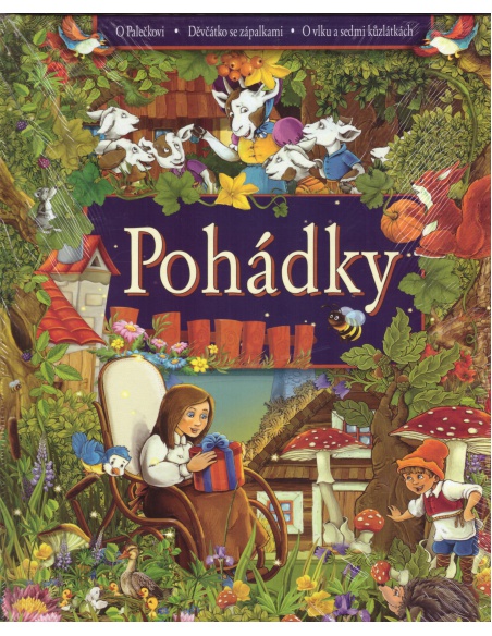 Obrázek