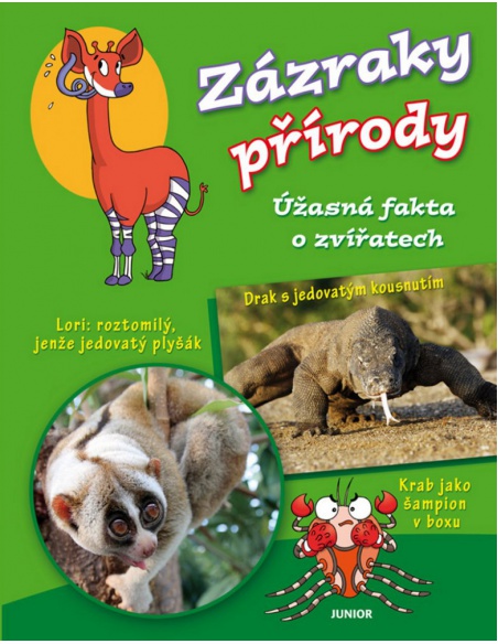 Obrázek