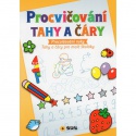 Procvičování Tahy a čáry