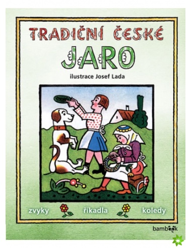 Obrázek