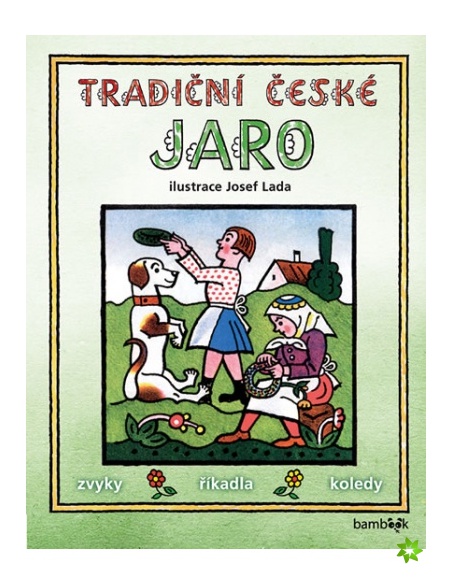 Obrázek