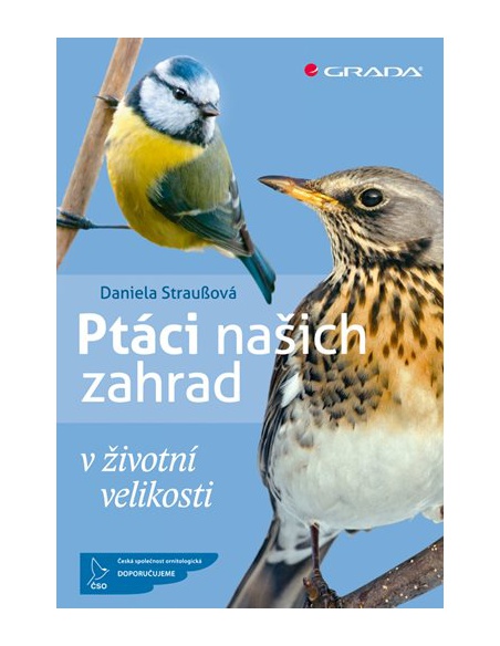 Obrázek