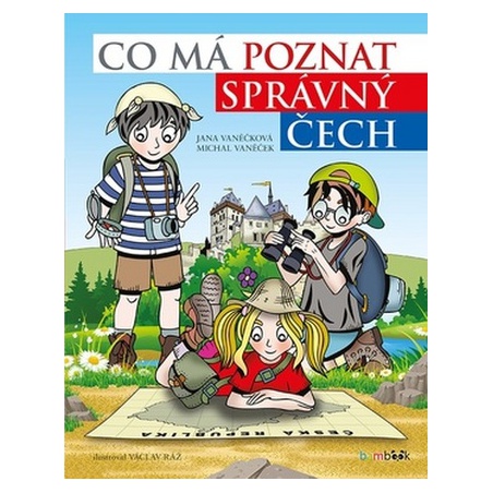 Obrázek