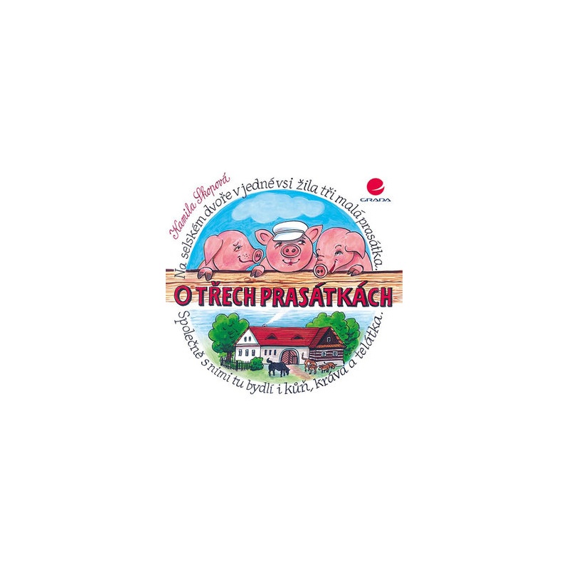 Obrázek