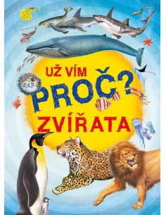 Obrázek