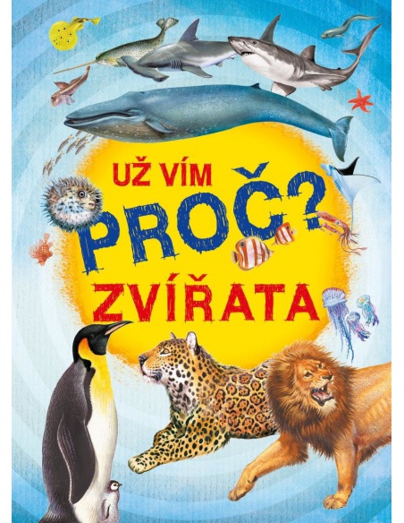 Obrázek