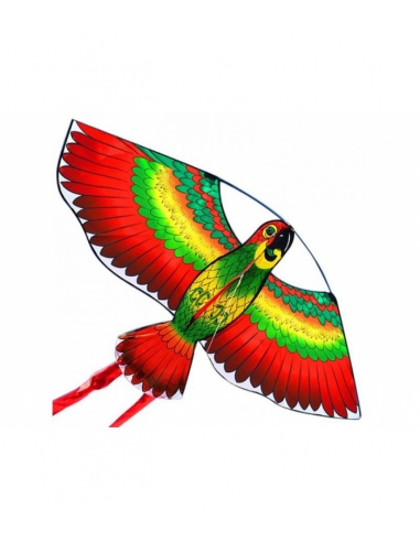 Obrázek