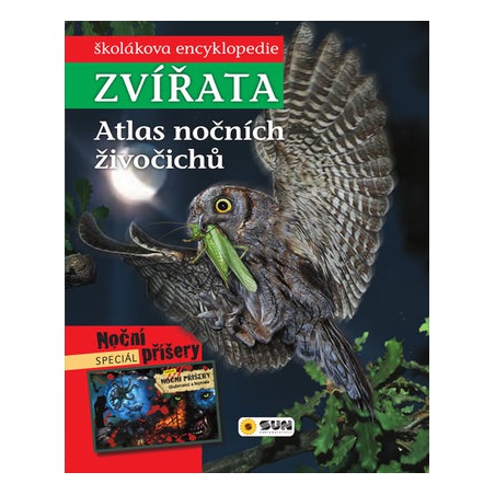 Obrázek