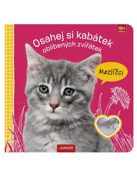 Obrázek