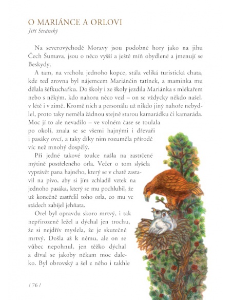 Obrázek (1) Obrázek (1)