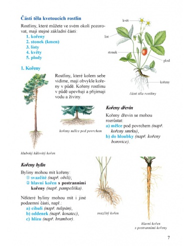 Prvouka 3. ročník, 2. díl  - učebnice do školy Prvouka 3. ročník, 2. díl  - učebnice do školy