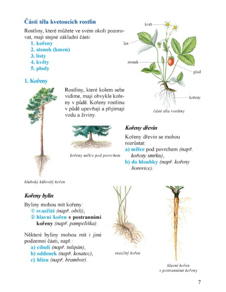 Prvouka 3. ročník, 2. díl  - učebnice do školy Prvouka 3. ročník, 2. díl  - učebnice do školy