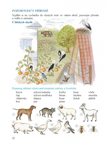 Prvouka 3. ročník, 2. díl  - učebnice do školy Prvouka 3. ročník, 2. díl  - učebnice do školy