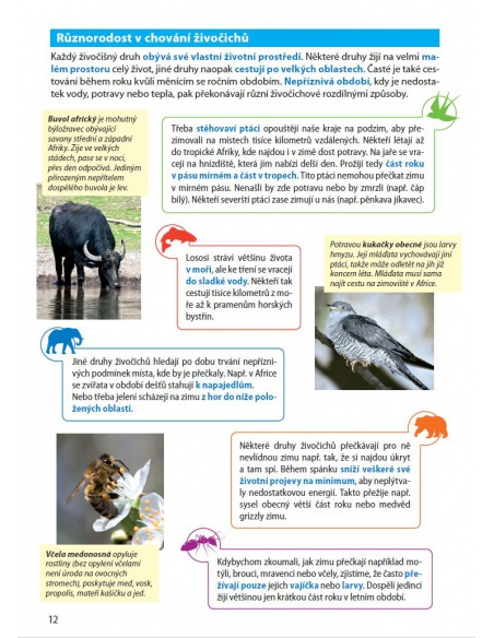 Obrázek (1) Obrázek (1)