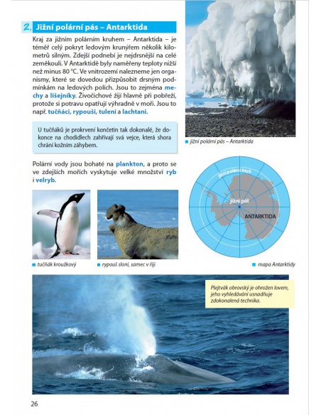 Obrázek (2) Obrázek (2)