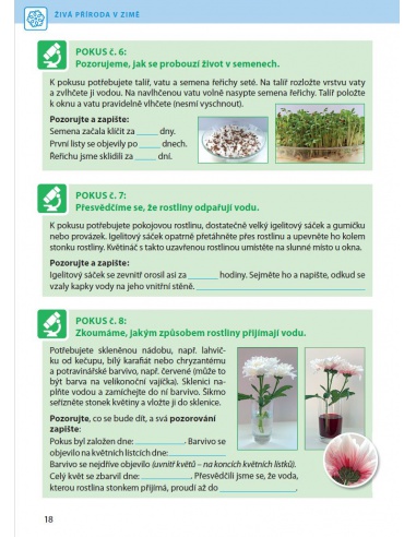 Obrázek (1) Obrázek (1)