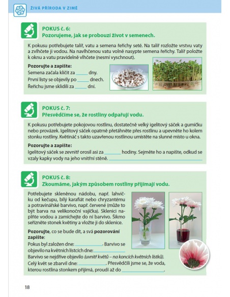 Obrázek (1) Obrázek (1)