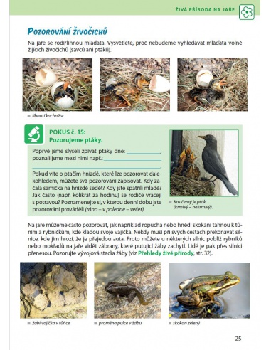 Obrázek (2) Obrázek (2)