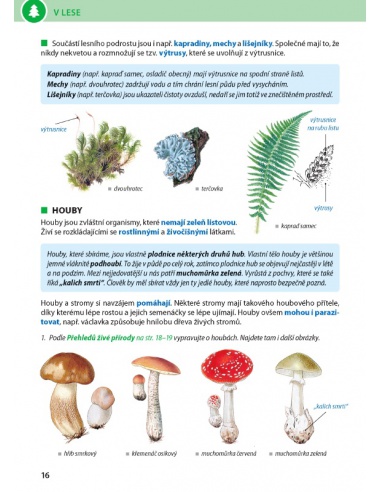 Obrázek (2) Obrázek (2)
