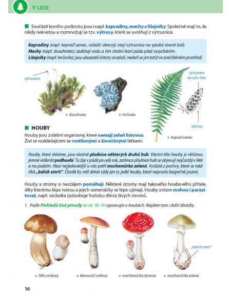 Obrázek (2) Obrázek (2)