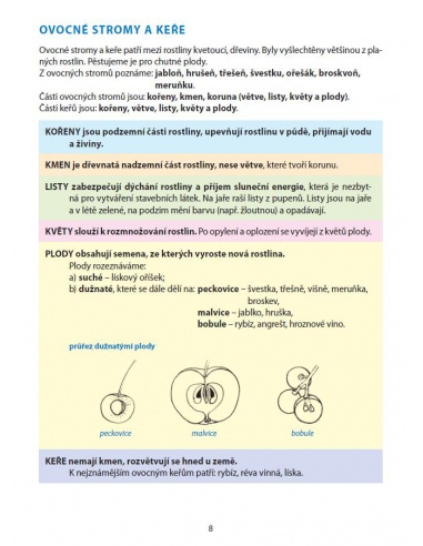 Obrázek (1) Obrázek (1)