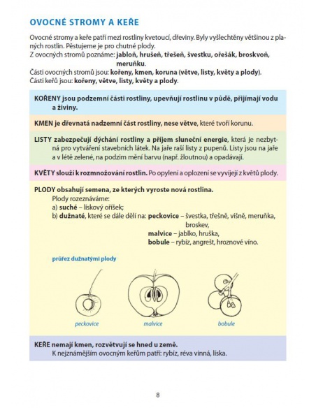 Obrázek (1) Obrázek (1)