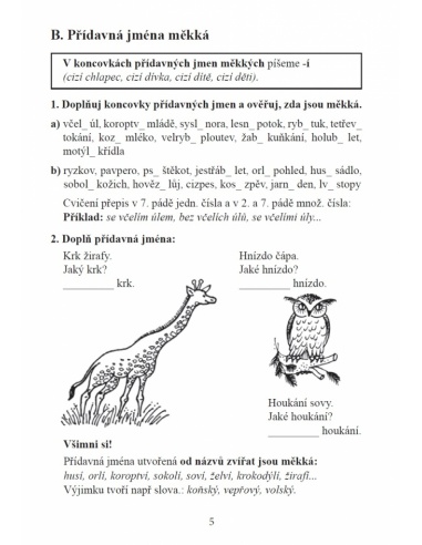 Pravopis přídavných jmen Nová škola - učebnice do školy