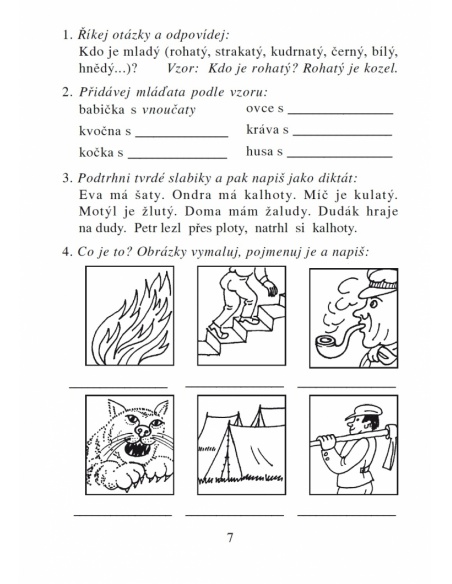 Tvrdé a měkké slabiky NNS - učebnice do školy Tvrdé a měkké slabiky NNS - učebnice do školy