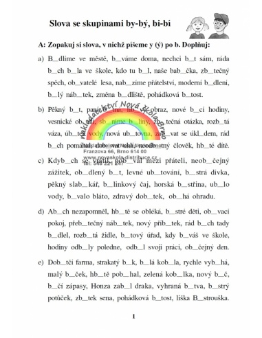 Vyjmenovaná slova Nová škola - učebnice do školy