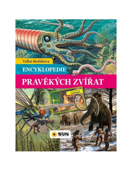 Obrázek