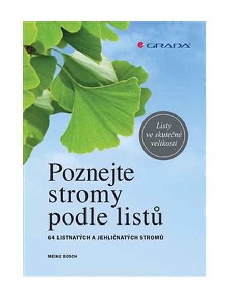 Obrázek