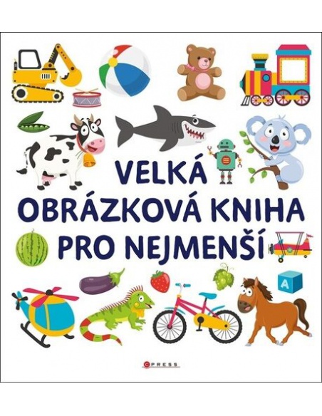 Obrázek