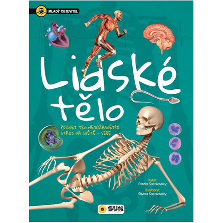Obrázek