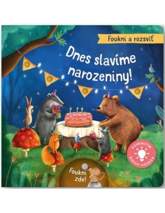 Obrázek