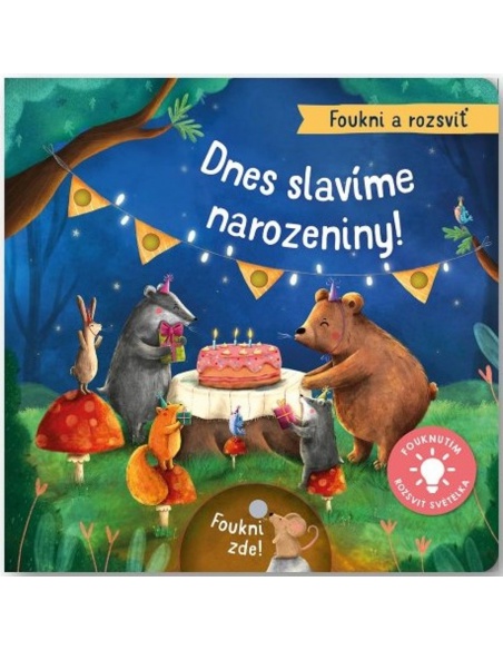 Obrázek