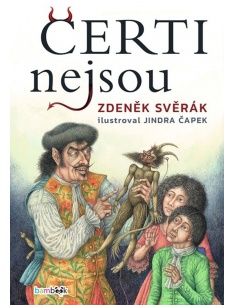 Obrázek