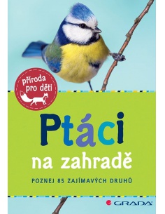Obrázek
