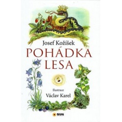 Obrázek