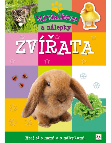 Obrázek