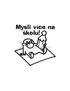 Obrázek