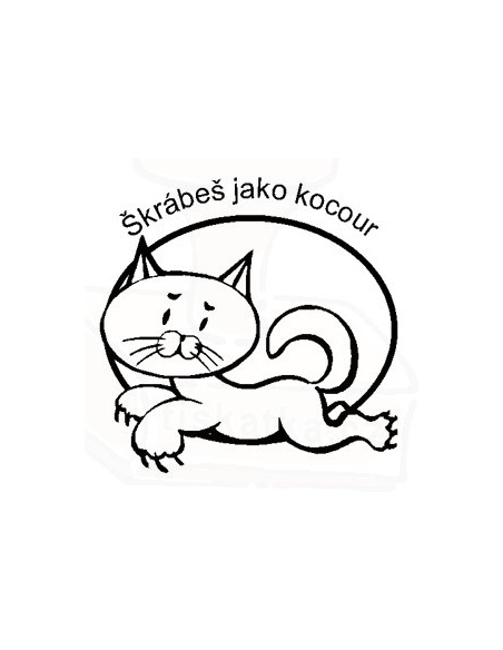 Obrázek