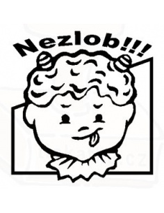 Obrázek