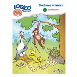 Sluchové vnímání - Souhláskov  - učebnice do školy