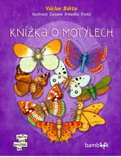 Obrázek